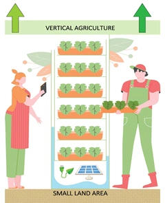 Vertical Agriculture