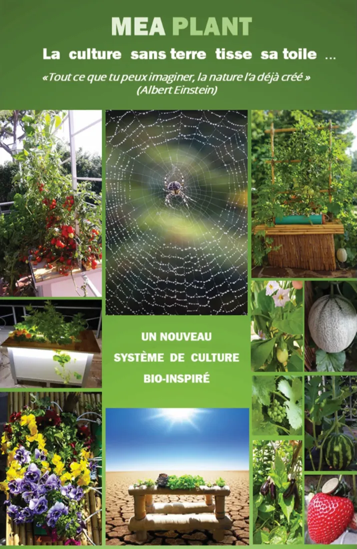 Meaplant in Biomim Book