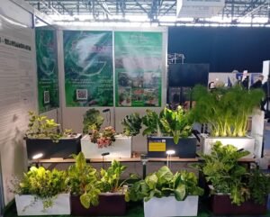 a display of plants in boxes