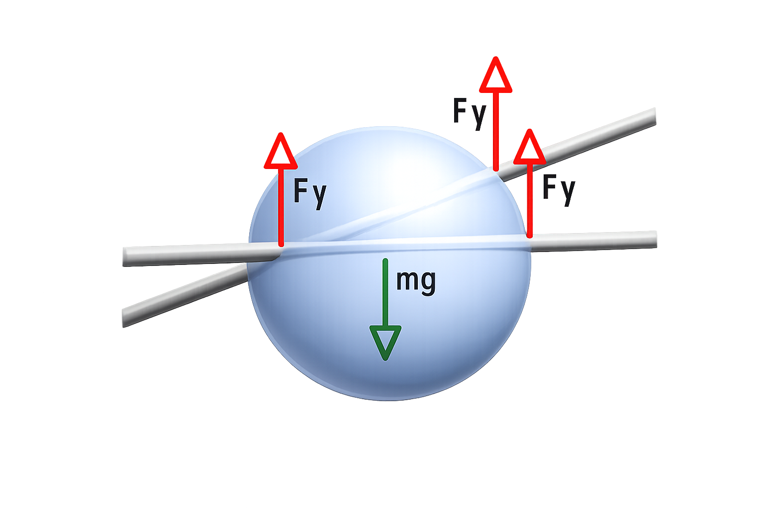 Balance between gravity and surface tension in a droplet suspended on fibers