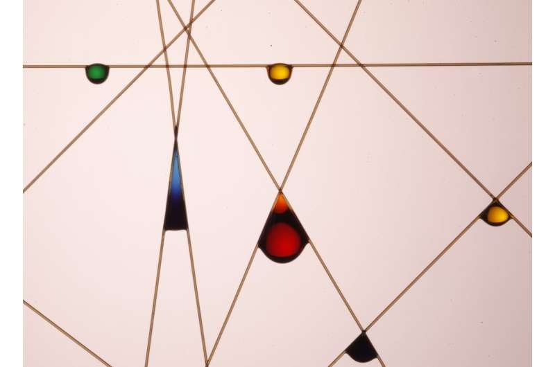 Droplets on bent fibers scientific image
